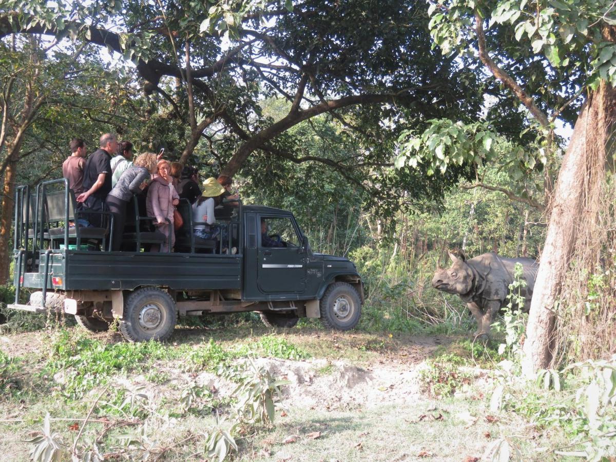 Eden Jungle Resort Sauraha Esterno foto