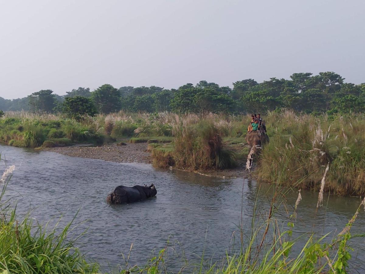 Eden Jungle Resort Sauraha Esterno foto