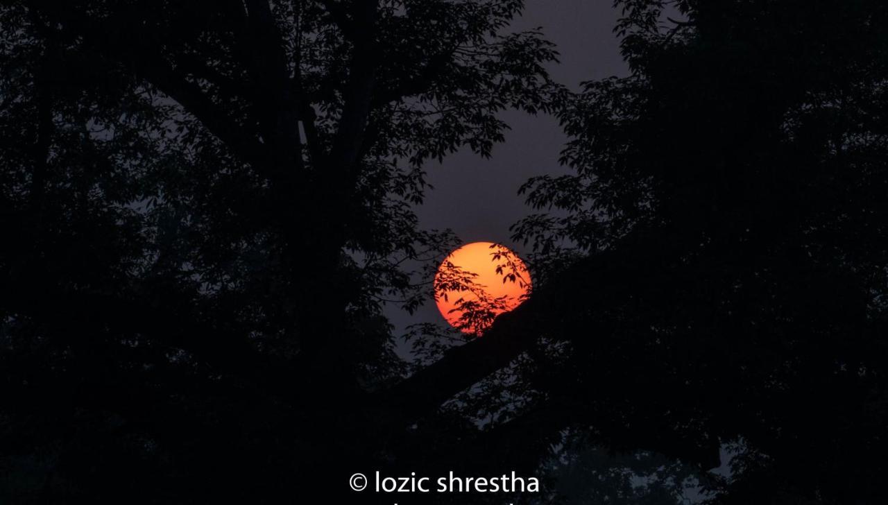 Eden Jungle Resort Sauraha Esterno foto