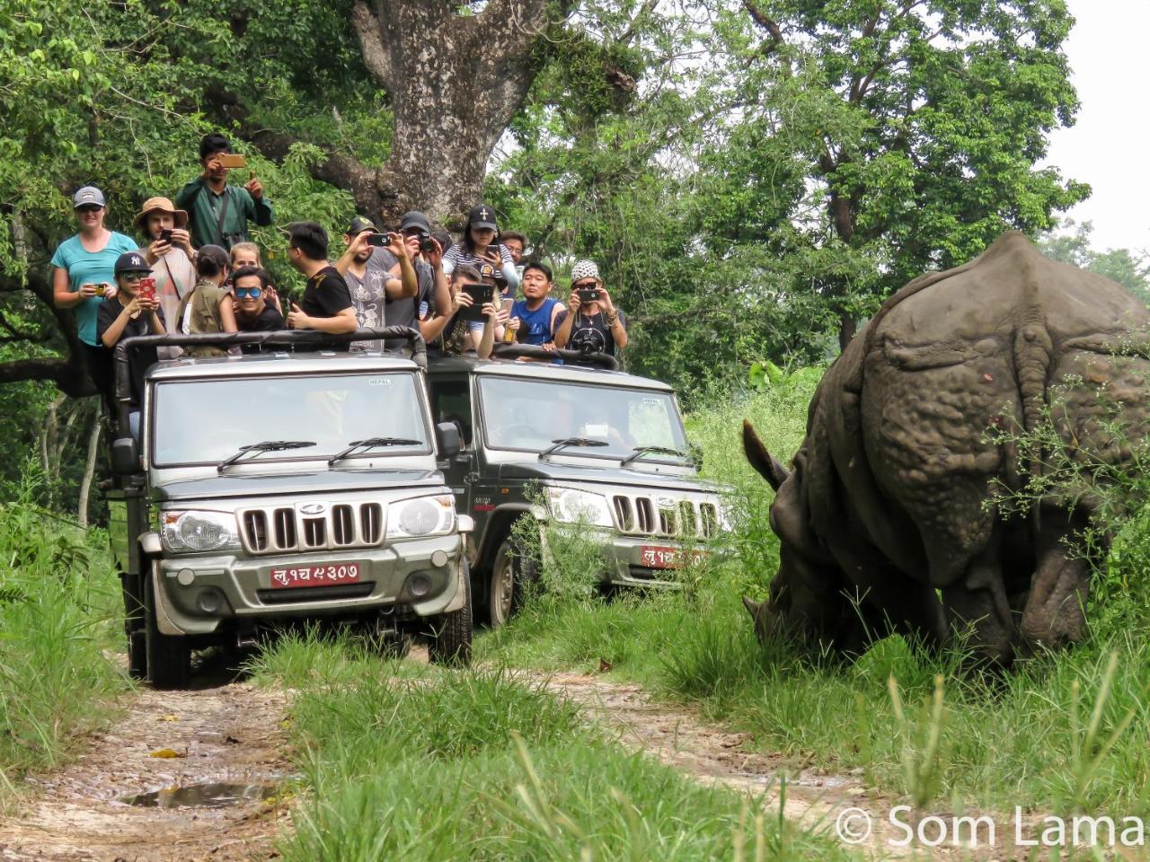 Eden Jungle Resort Sauraha Esterno foto