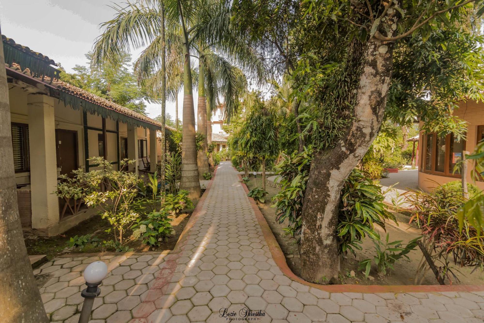 Eden Jungle Resort Sauraha Esterno foto