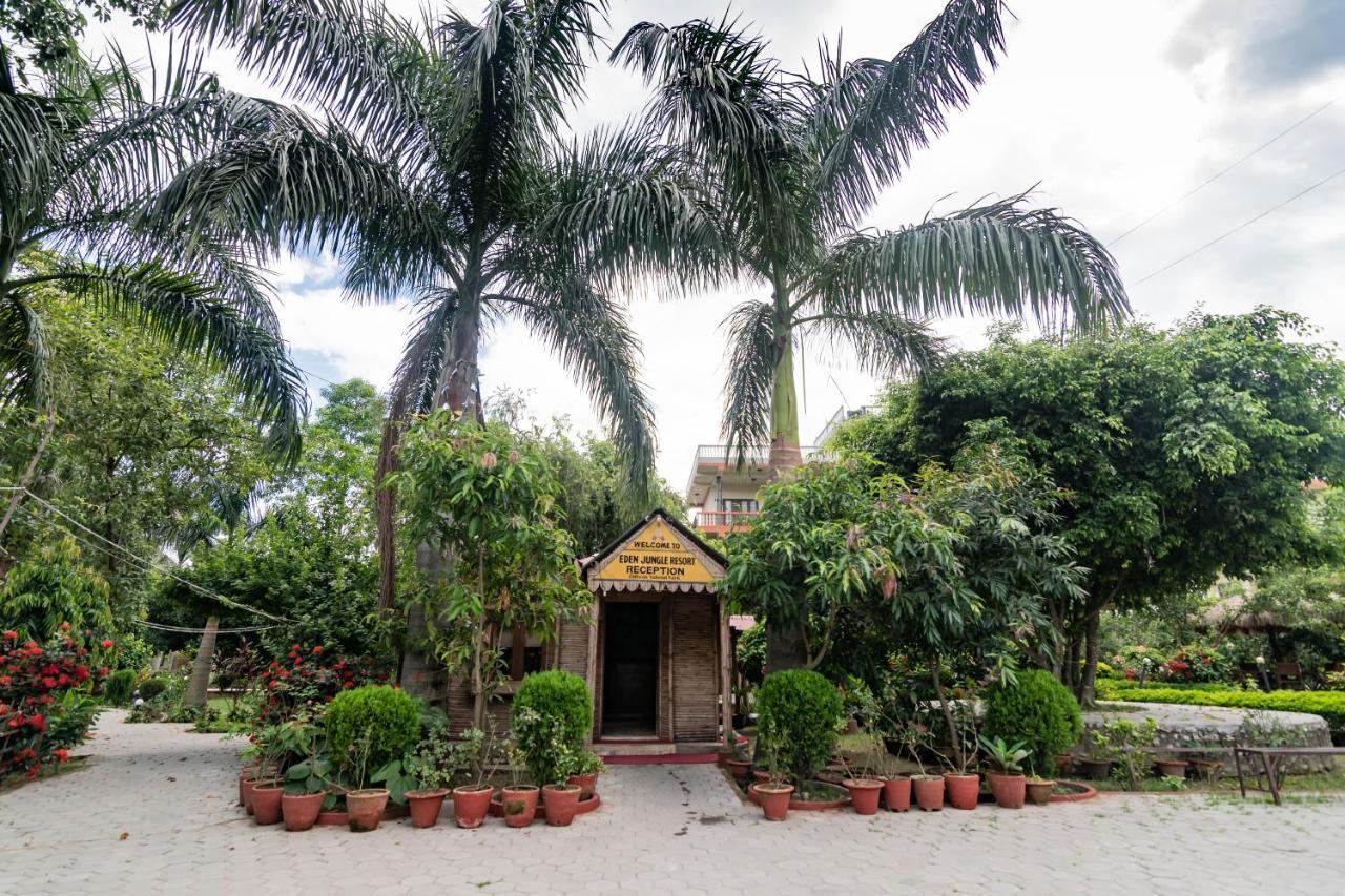 Eden Jungle Resort Sauraha Esterno foto