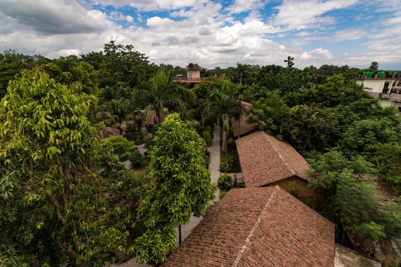 Eden Jungle Resort Sauraha Esterno foto