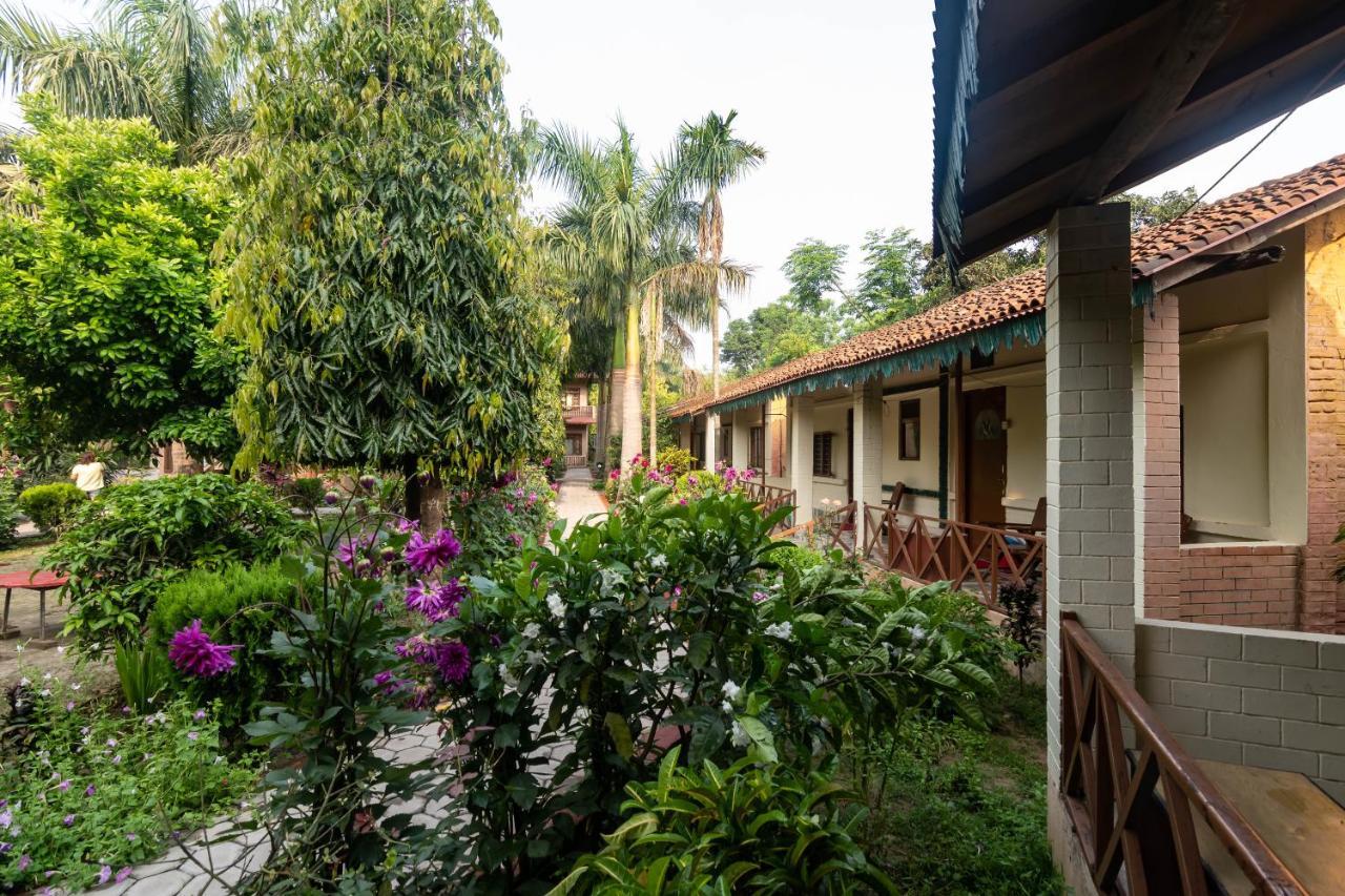 Eden Jungle Resort Sauraha Esterno foto